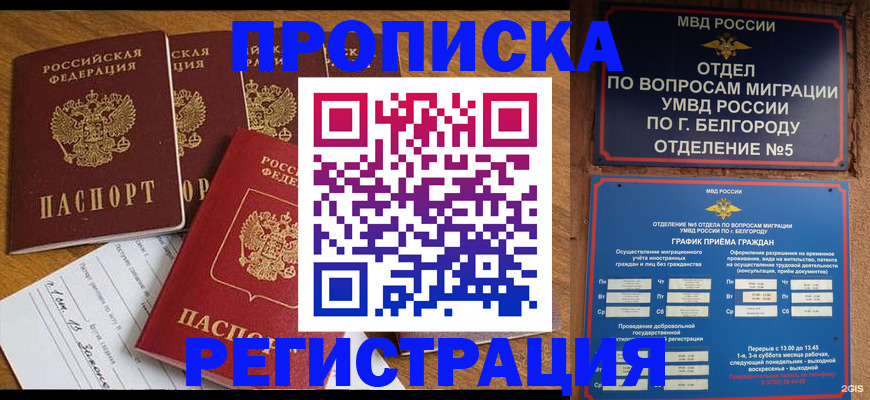 форма 3 в Новокузнецке